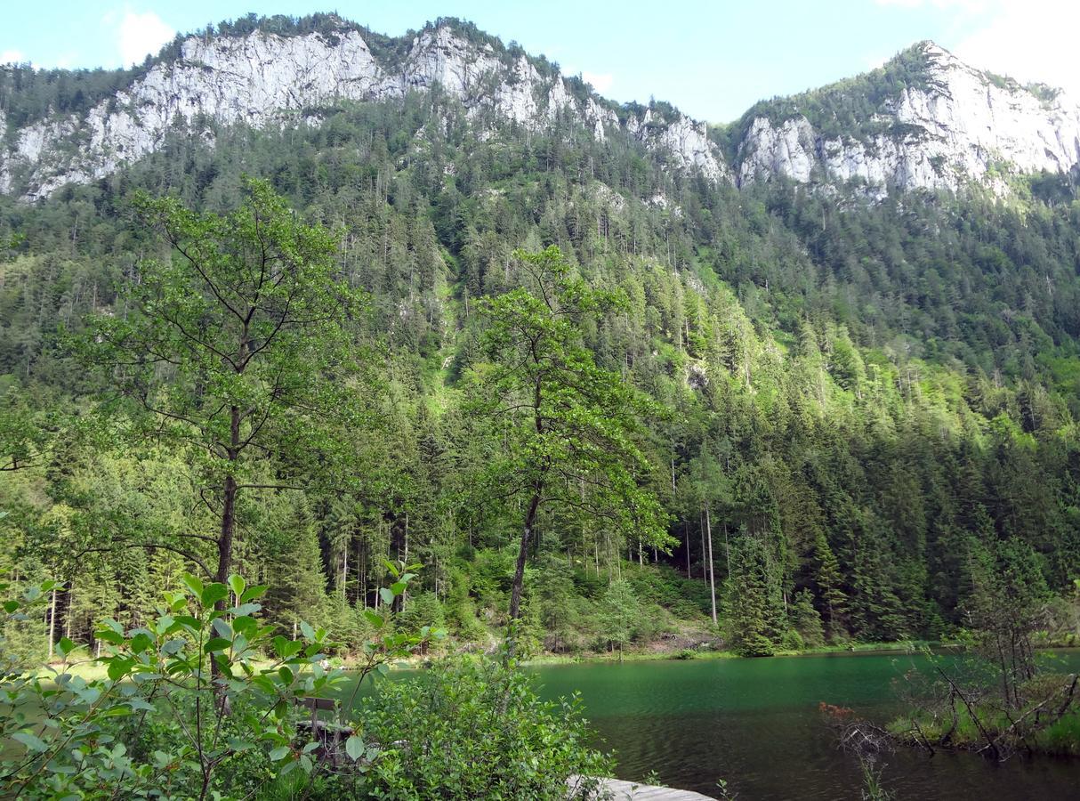 Alpenhotel Gastager Inzell Kültér fotó