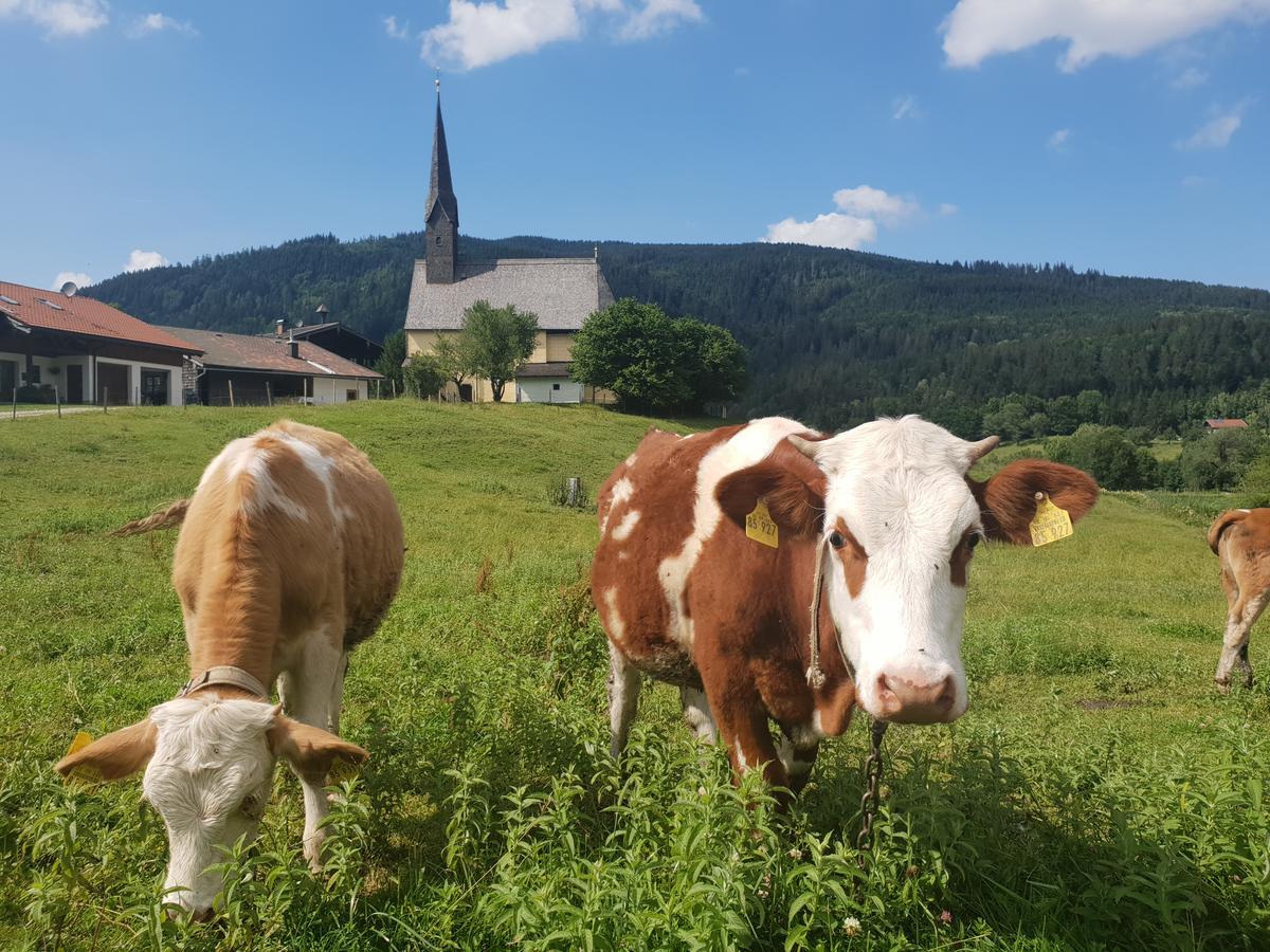 Alpenhotel Gastager Inzell Kültér fotó